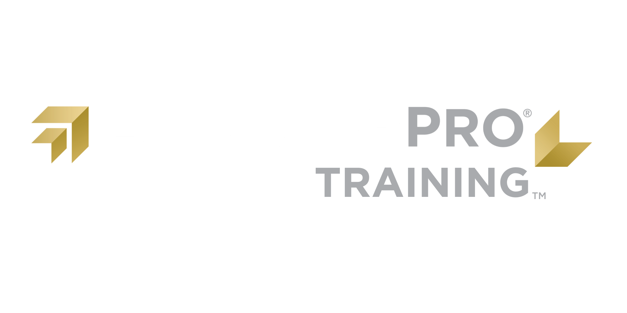 AdjusterPro_AllLines_Vert Combined Logo_White